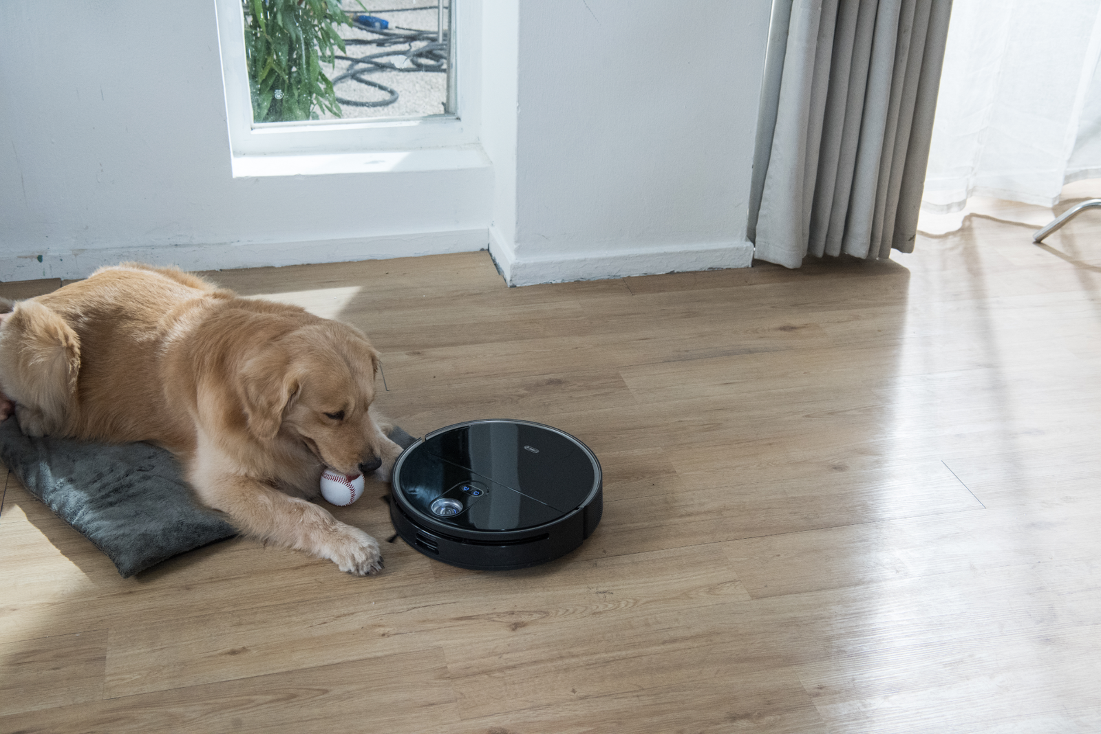 When Buying a Robot Vacuum